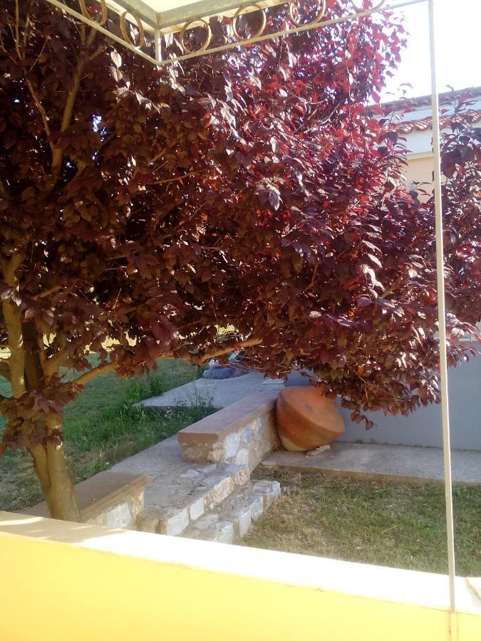 Studios Στουσ Πυργουσ Θερμησ Mytilíni المظهر الخارجي الصورة